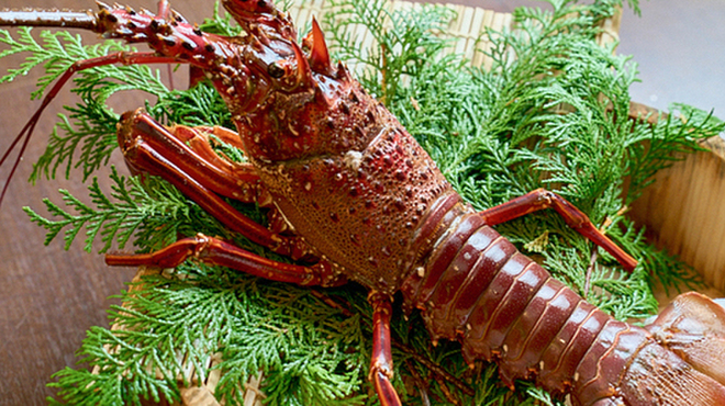 居酒屋 翔 - メイン写真: