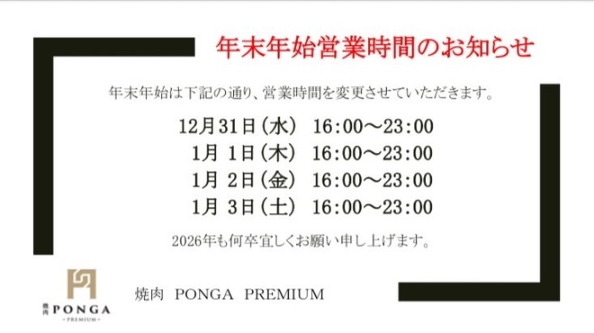 PONGA PREMIUM - メイン写真: