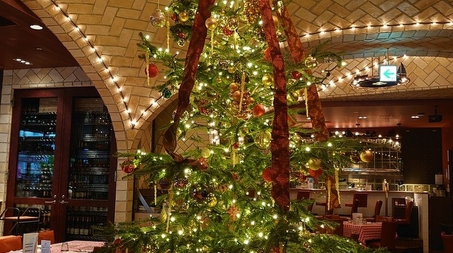 グランド・セントラル・オイスターバー&レストラン 品川店 - メイン写真: