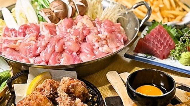 鳥園 - メイン写真: