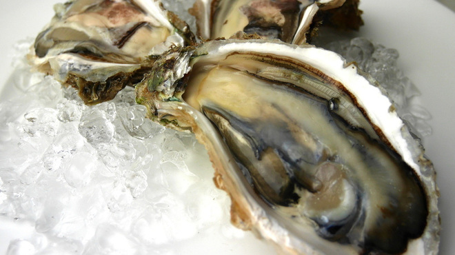 Bistro Hisagi - メイン写真: