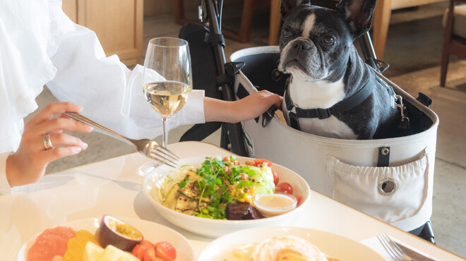 bills - メイン写真: