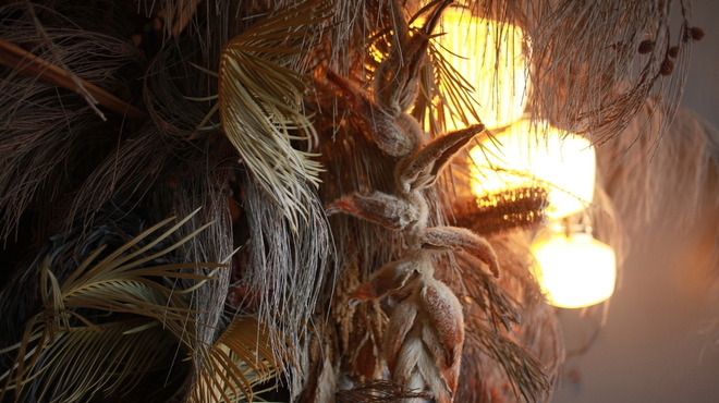 nou - メイン写真: