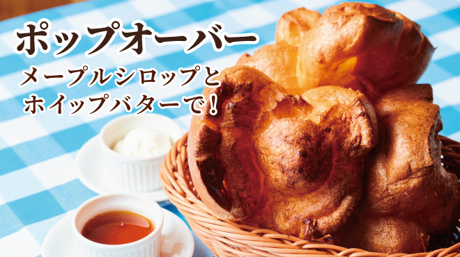 トラットリア マッコ - メイン写真: