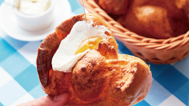 トラットリア マッコ - メイン写真: