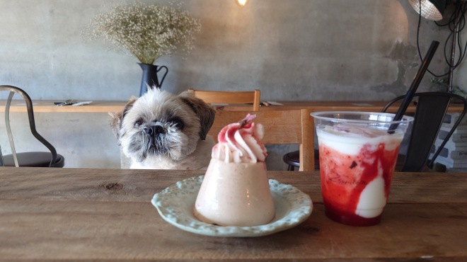 256nicom - メイン写真: