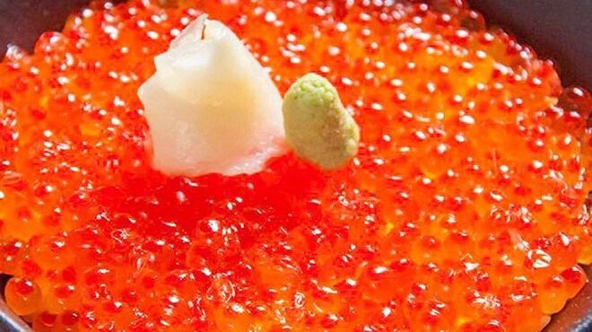 ほたる - メイン写真: