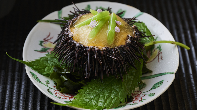 陽 - メイン写真: