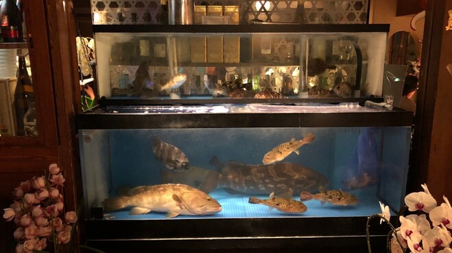 晴快荘 - メイン写真: