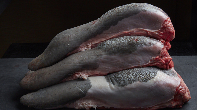 山形牛一頭買いITAMAE焼肉 美美 - メイン写真: