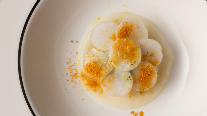 SALONE 2007 - メイン写真: