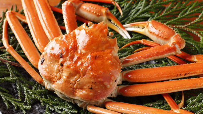 銀座方舟  大吟醸しずく店 - メイン写真: