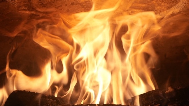 尾山台 山田 - メイン写真: