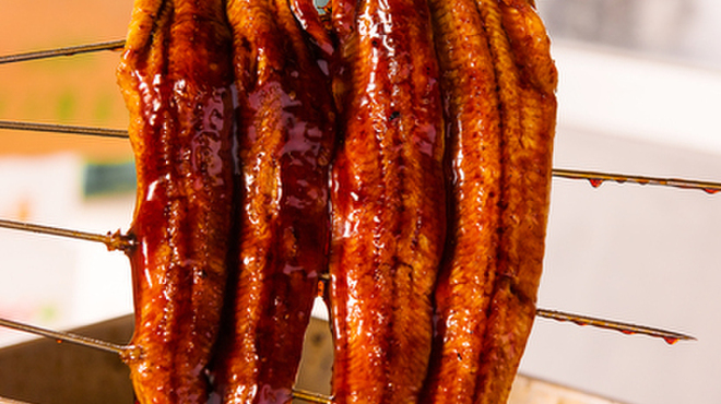 うなぎ四代目菊川 ヒルトンプラザウエスト大阪店 - メイン写真: