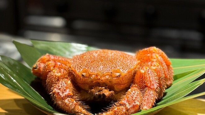 炭火割烹 麻布龍土町 - メイン写真: