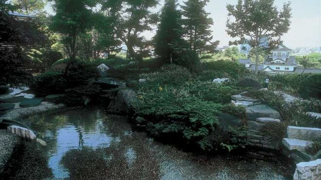 日本料理 雲海 - メイン写真: