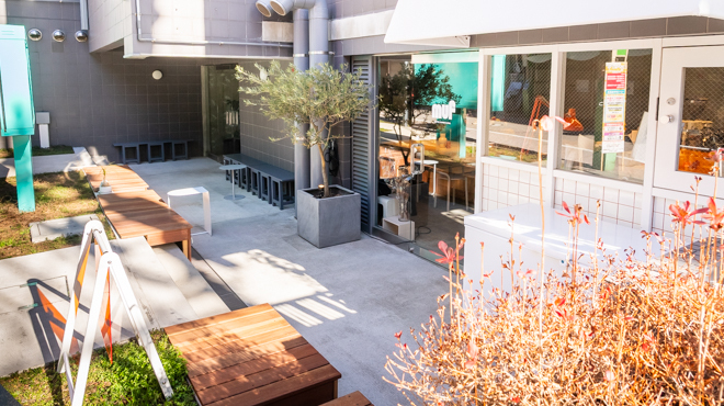 muf 生マフィンと時々､お花｡ - メイン写真: