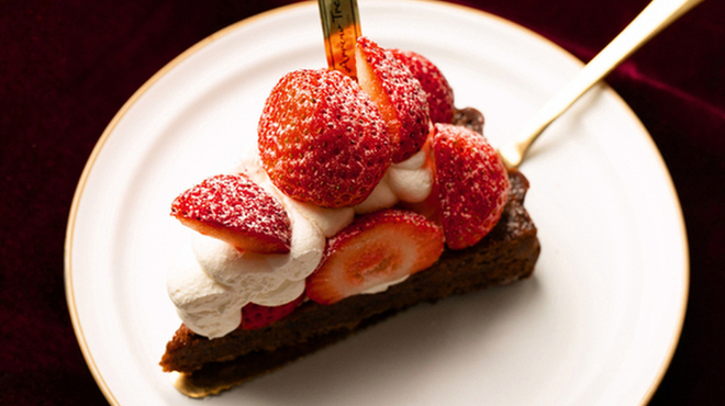 ARROW TREE - メイン写真: