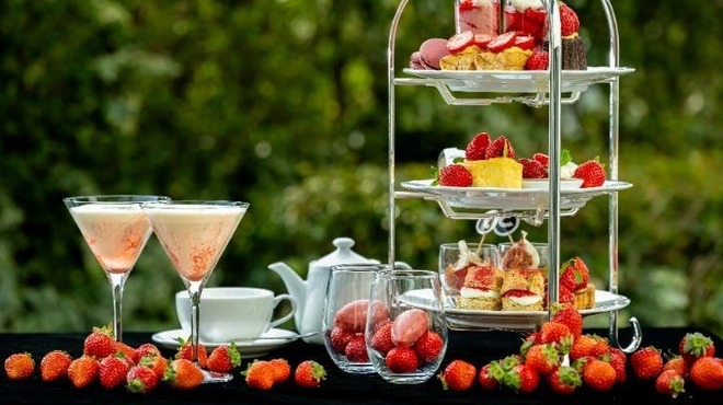 THE COSMOPOLITAN GRILL BAR TERRACE - メイン写真: