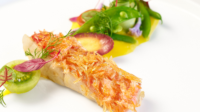 CODA ROSSA - メイン写真: