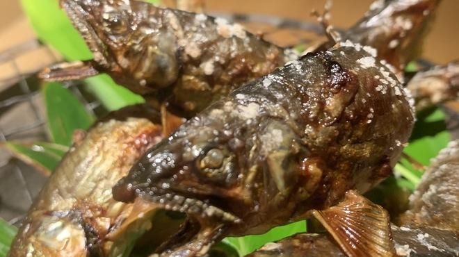 だい - メイン写真: