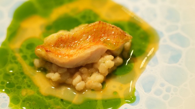 YANAGI TePPaN UNBORN GASTRONOMY - メイン写真: