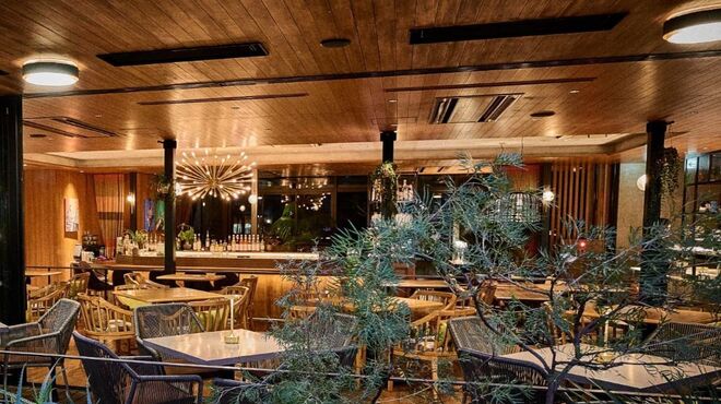 THE TENDER HOUSE DINING - メイン写真: