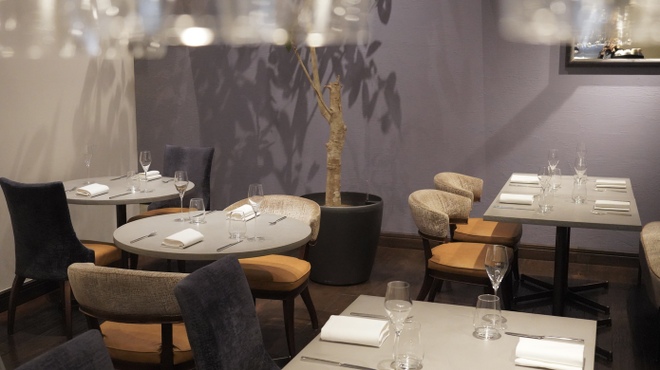 misola - メイン写真: