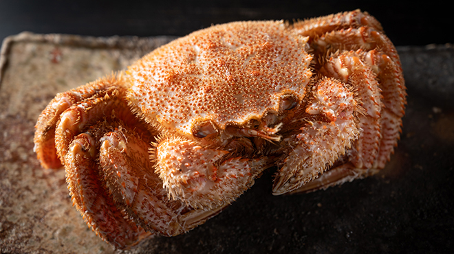 銀座いち分 - 料理写真:毛ガニ