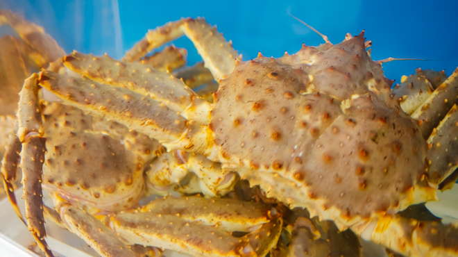 郷土料理 なが井 - メイン写真: