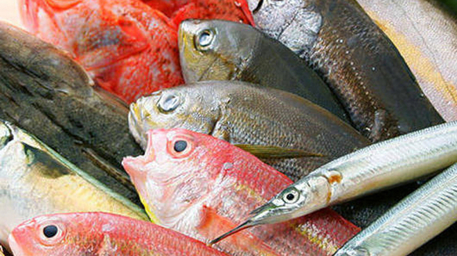 個室居酒屋 いろり屋 - メイン写真: