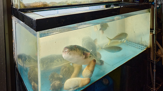 食彩炉ばた こころ - メイン写真: