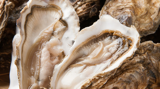 ひとりでこれるもん - メイン写真: