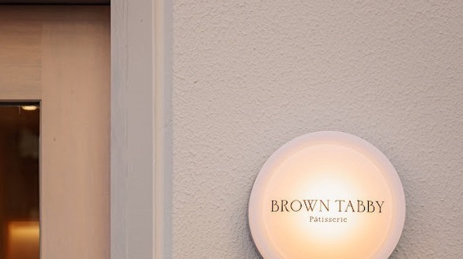 BROWN TABBY - メイン写真: