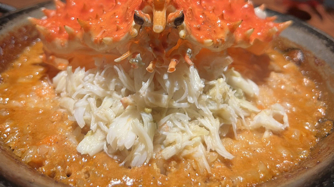 Potoro - メイン写真: