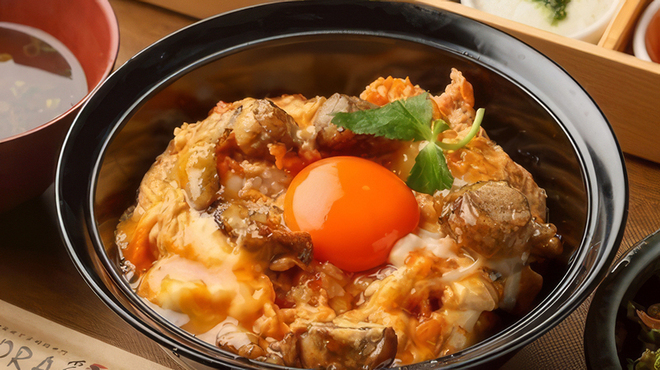 Sumibi Yakitori to Hitokuchi Gyoza TORA Tori YA Nanba Sennichimae Ten