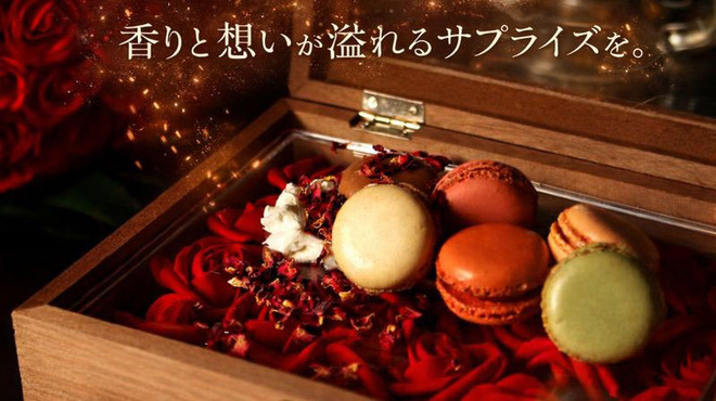 THE BARK - メイン写真: