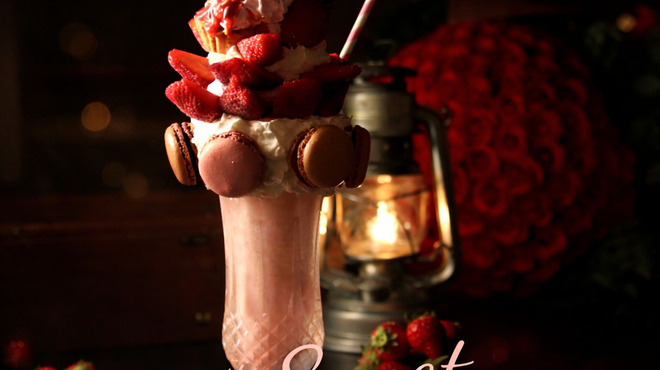 THE BARK - メイン写真: