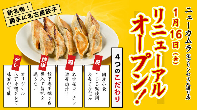 餃子のネオ大衆酒場 ニューカムラ - メイン写真: