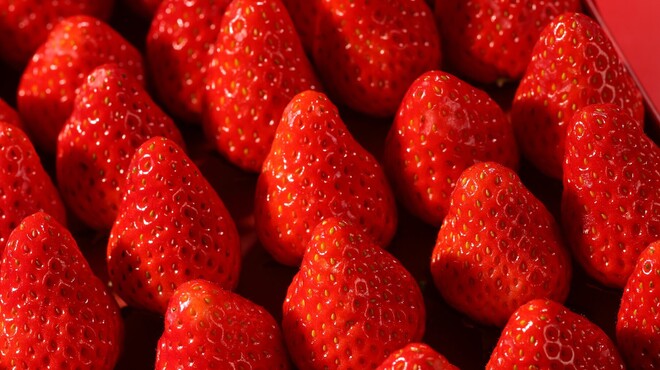 ガーデニア(ホテルマイステイズプレミア成田) - メイン写真: