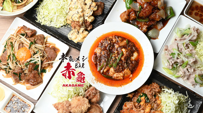 本気メシBAR 赤龜 - メイン写真: