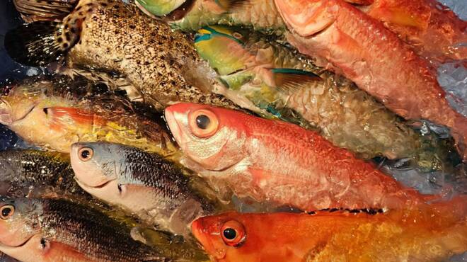 沖縄創作居酒屋 天の川食堂 てぃんがーら - メイン写真: