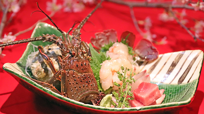 舞桜 - メイン写真: