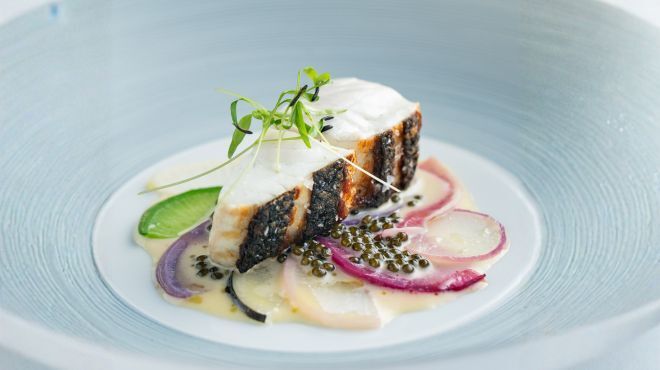 MOTOI - メイン写真: