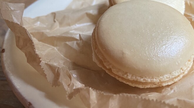 umbilical - メイン写真: