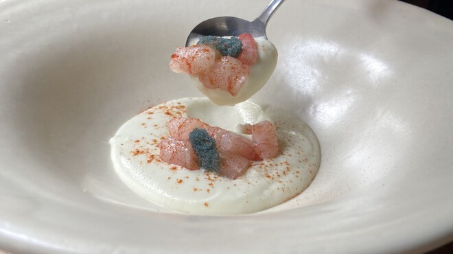 umbilical - メイン写真: