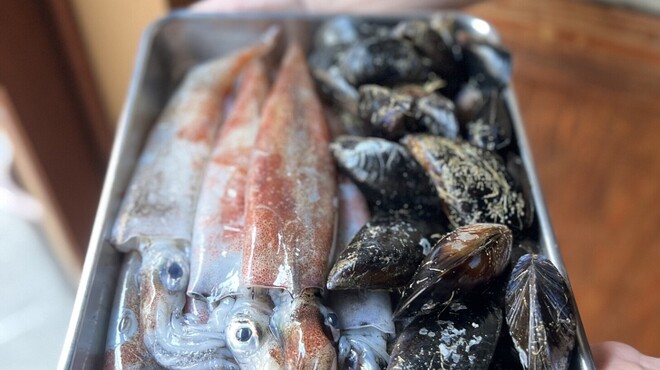 umbilical - メイン写真: