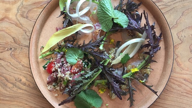 umbilical - メイン写真: