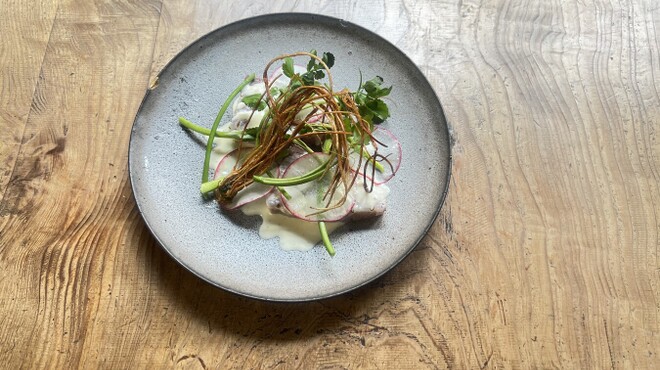 umbilical - メイン写真: