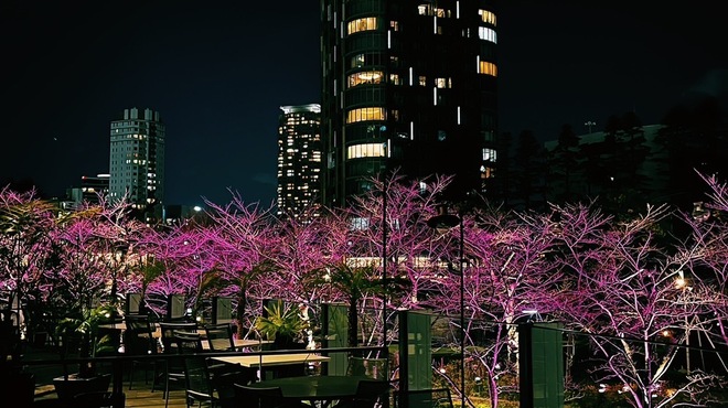 ニルヴァーナ ニューヨーク - メイン写真: